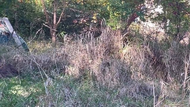 Какая же все-таки грандиозная разница между разными уровнями сознания людей на земле!!! смотреть онлайн