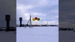 Запуск петуха на воздушном шаре в космос Сколько воздушных шаров с гелием надо чтобы поднять петуха