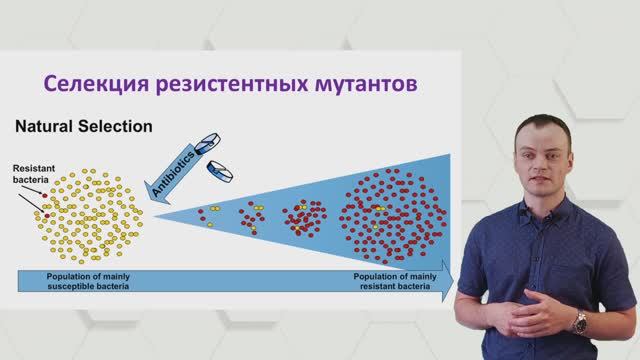 Механизмы резистентности микроорганизмов к антимикробным препаратам