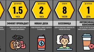 Что Если Пить Только Энергетики