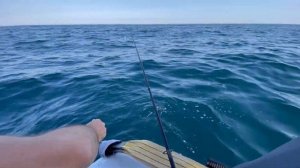 Яхт марина Мрии, жарим ставридку на катере #феникс 560