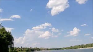 Донские мидии