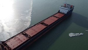 Море во льдах?