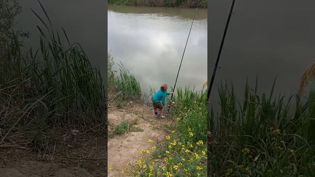 Обучение 8-летнего внука Савы навыкам рыбалки.Кубань, водозаборный канал с реки Кубань,май 2021 год