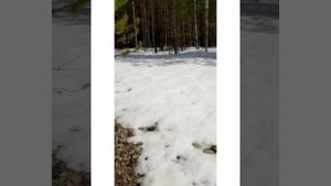 Вездеход косач, дорога к озеру