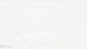 Корень всех болезней в закислении! Как защелачивать организм, Топ-16 щелочных продуктов