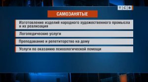 В законодательстве появилось понятие «самозанятые»