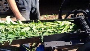 Січкарня, Сечкарня, Соломорезка 2.2-4 квт 220\380 вольт от 8900 грн