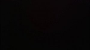 СКИБИДИ звери 17