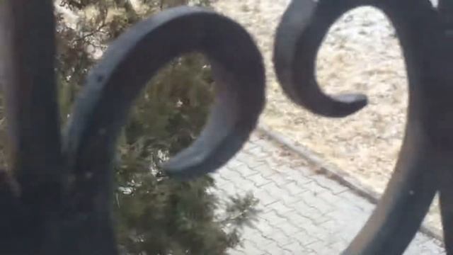 Первый снег в моём городе!! смотреть онлайн