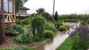 Что посадить? Где посадить?🌹Как организован сад, какие растения его украшают.