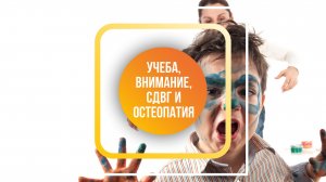 Учеба, внимание, СДВГ и остеопатия