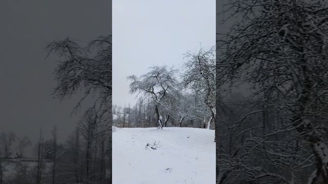 Ноябрь в беларуской деревне на границе ....Наша усадьба в снегу.Браславские озера.Беларусь.