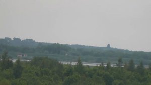 куда летают пчёлы