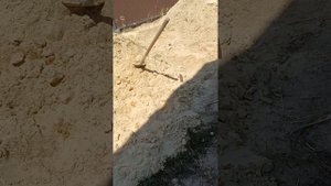 Въезд в гараж из покрышек