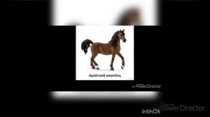 Сравнение живых лошадей и лошадей шляйх