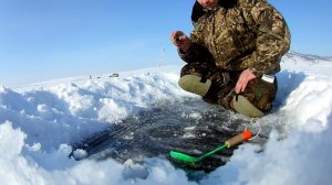 Ловля Окуня в Феврале На Одного Опарыша.
