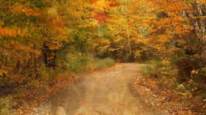 Дорога без конца