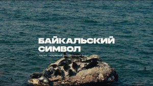 Байкальский символ. Официальный трейлер документального фильма о байкальской нерпе