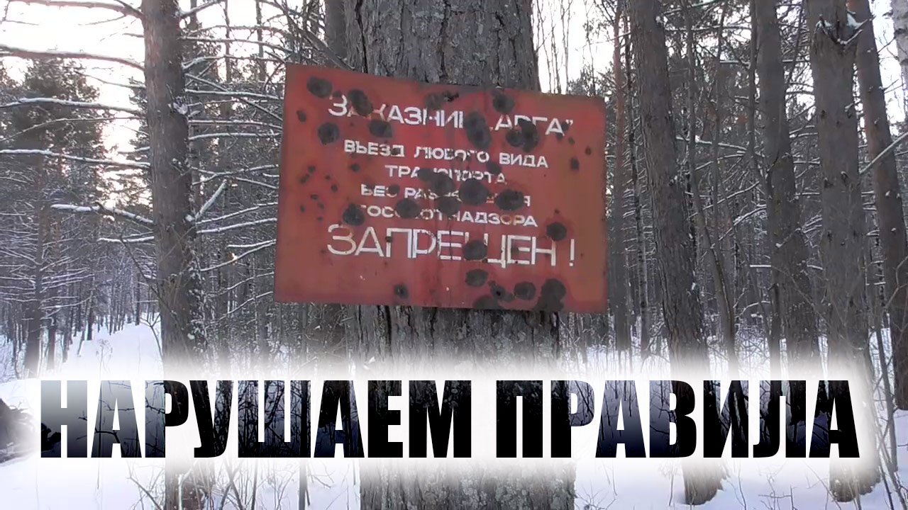 ЗАКАЗНИК АРГА Экспедиция на второй чулым НА СНЕГОХОДАХ