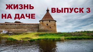 ЖИЗНЬ НА ДАЧЕ.  ВЫПУСК 3.