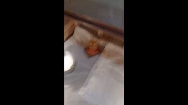 Выращиваем бройлеров/в домашних условиях/на даче ч.1