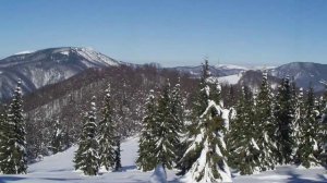 Назарій Яремчук - Канікули в Карпатах