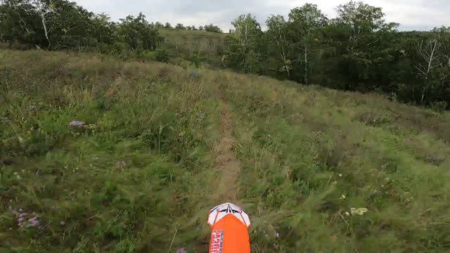 Шотский Лайт 24