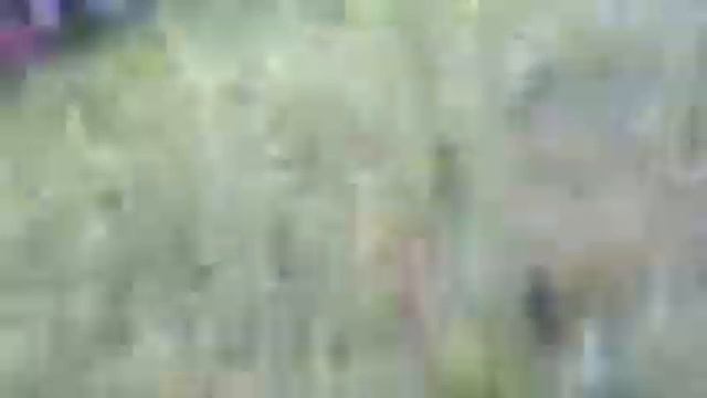 Выкуриваем ос из гнезда КОСТРОМ! Настоящий костёр (на земле) смотреть онлайн