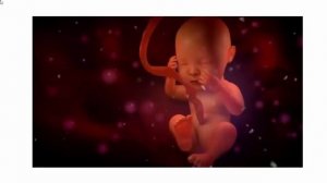 Околоплодные воды, что это и как они работают