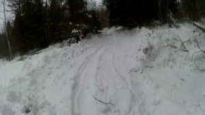 РАБОТА В НОВОЙ ДЕЛЯНЕ,ВАХТА ЗАГОТОВКА ЛЕСА