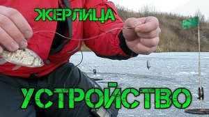 Первый лёд. Устройство жерлицы.
