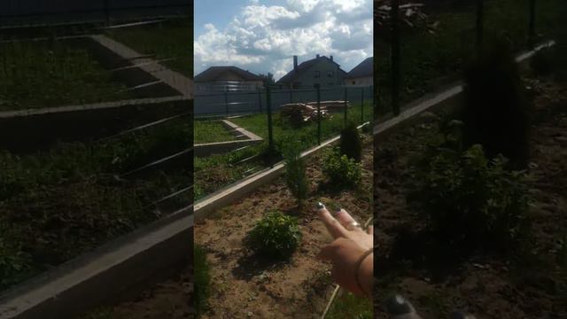 мой участок .второй год после покупки смотреть онлайн