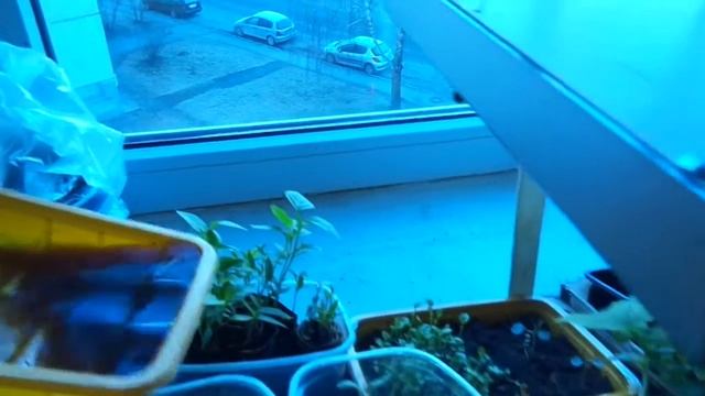 Верми чай 12.03.2015 1 смотреть онлайн