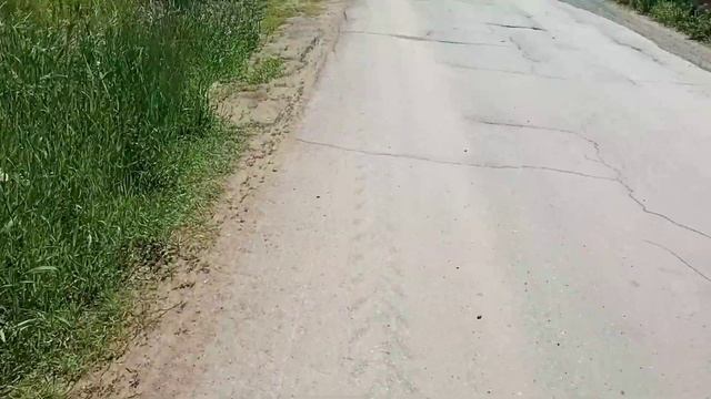 РЫБАЛКА НА ПАУК-ПОДЪЕМНИК НАЛОВИЛИ ВЕДРО РЫБЫ!