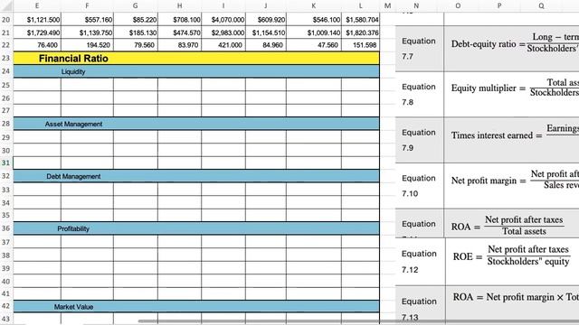Investments Chapter 7 Excel Financial Ratio смотреть онлайн