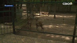 В Ставропольском зоопарке родились малыши