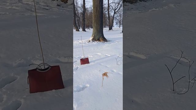 Как сделать расстановку самому себе?