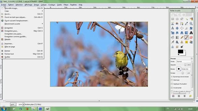 Redimensionner une image avec GIMP.avi
