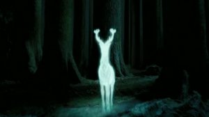 Любовь и смерть (Лили/Джеймс,Гарри/Джинни)