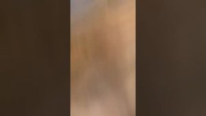 Сороконожка в доме!!!!!! Ловим ее))