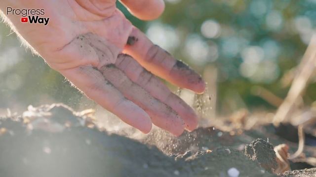 Дедушка Рассказал, а Я Проверил! ТАК ОБЫЧНАЯ СОЛОМА ПРЕВРАЩАЕТ ПОЧВУ В ИДЕАЛЬНУЮ! смотреть онлайн
