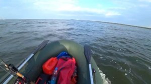 Boatmaster 310К. На воде