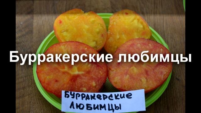 Самые вкусные помидоры в моей коллекции ! смотреть онлайн