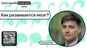 Валерий Мун. Как развивается мозг.