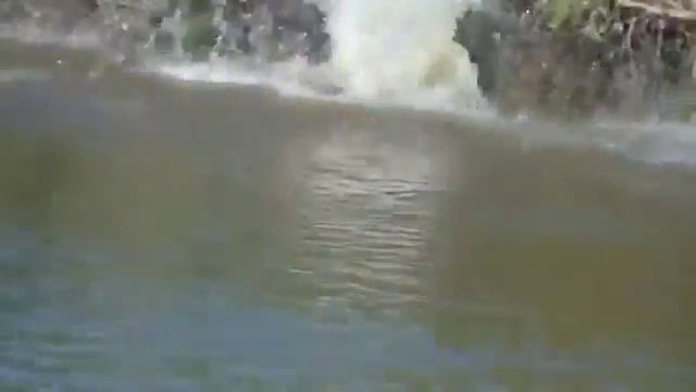 Леопард великая рыбалка смотреть онлайн