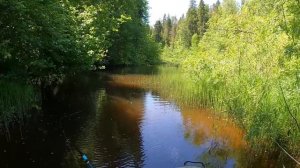 Tata ЛОВИТ! ОТКРЫТИЕ РЫБОЛОВНОГО СЕЗОНА 2023 С НОВЫМ МОТОРОМ MIKATSU 9.9!