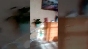 Лизби