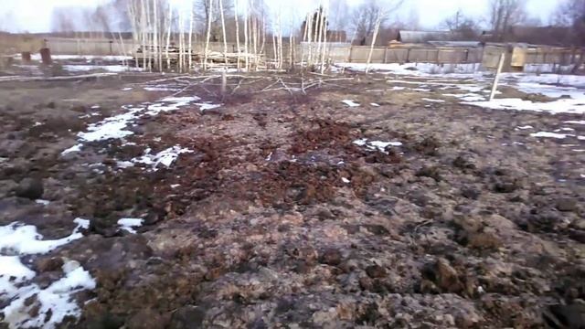 чистый перепелиный помёт в землю весной. удобрение птичьим помётом смотреть онлайн