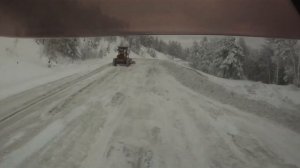 Отличие шин мишлен от других